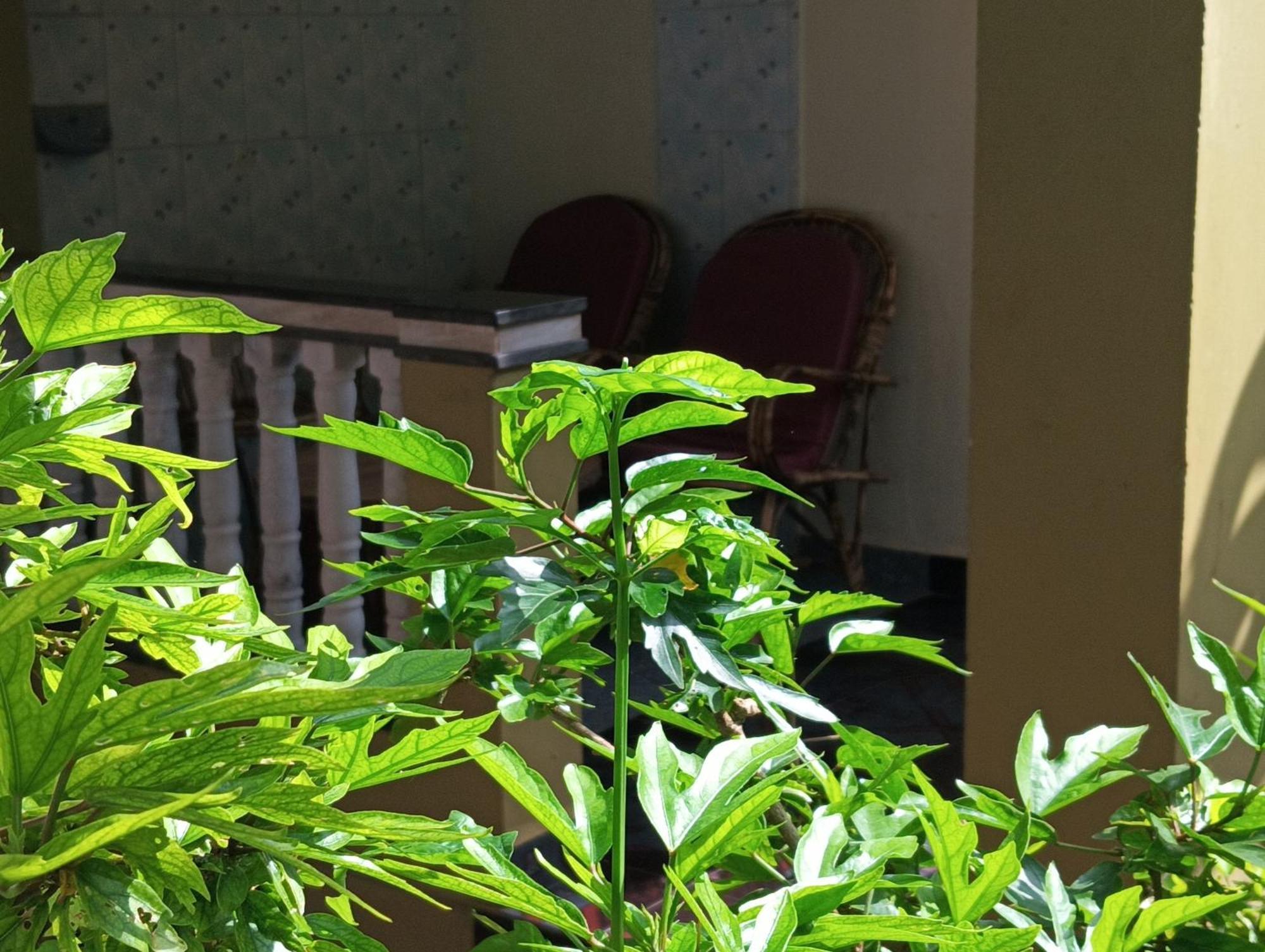 Monsoon Hotel Agonda Bilik gambar